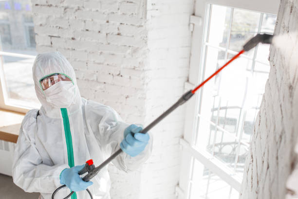 Best Asbestos and Lead Testing During Mold Inspection  in Grapeland, TX