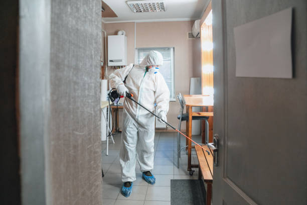 Best Environmental Consulting for Mold Prevention  in Grapeland, TX