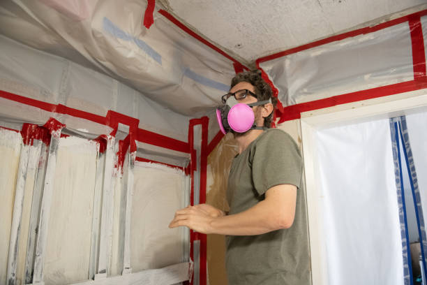 Best Mold Prevention Services  in Grapeland, TX